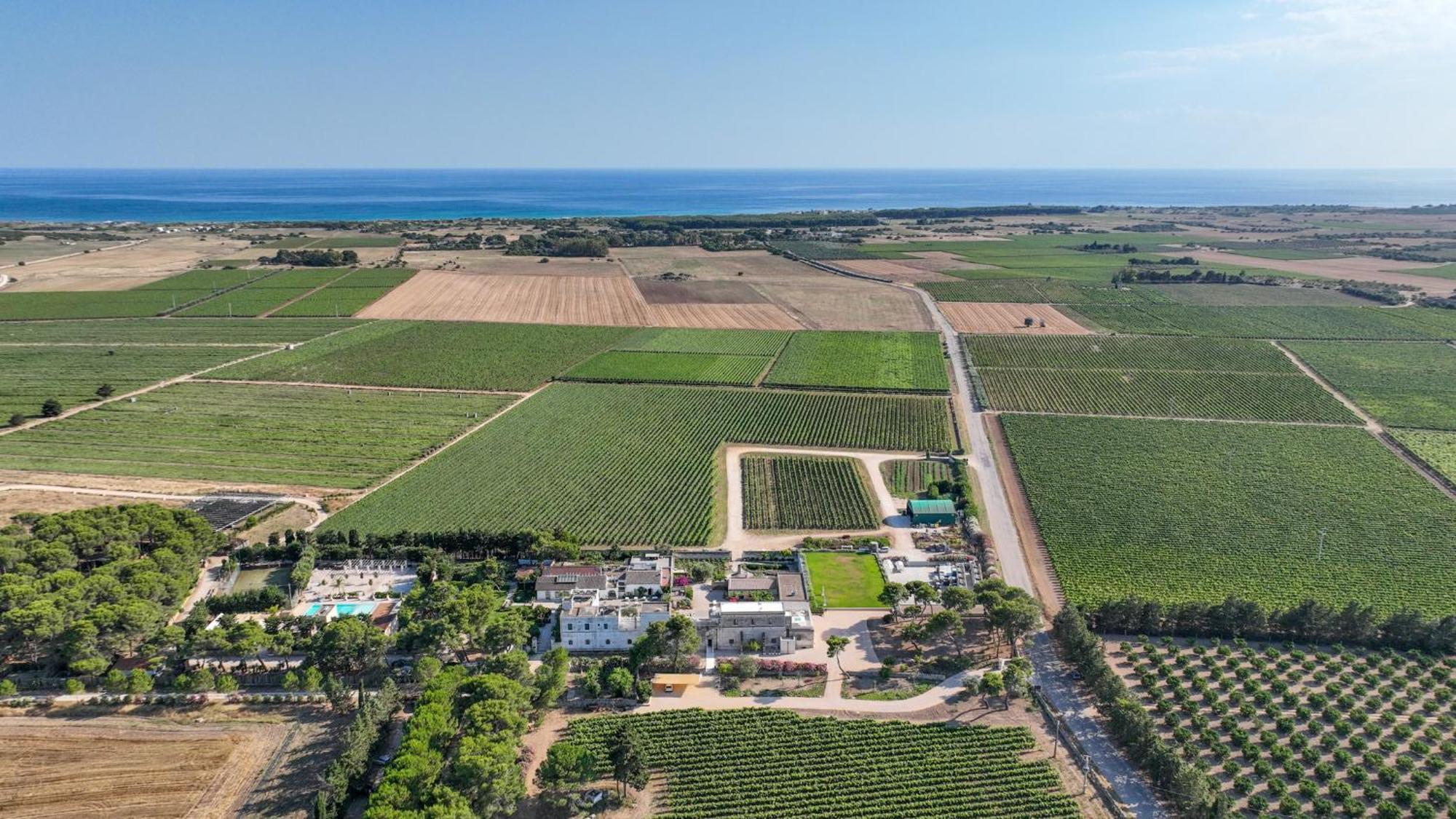 Emera Wine Resort By Raro Villas Lizzano  Buitenkant foto