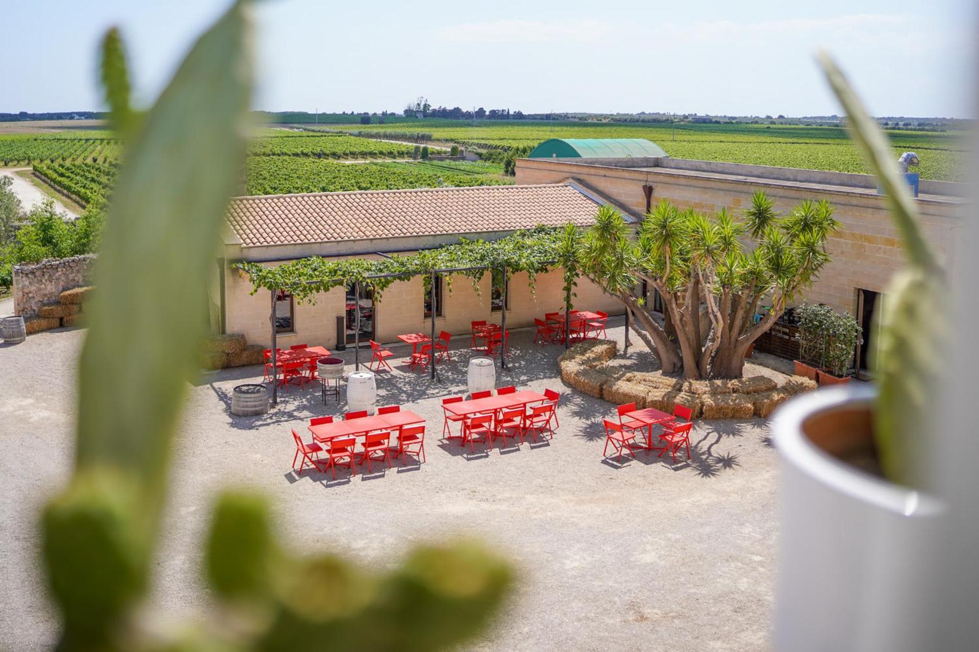 Emera Wine Resort By Raro Villas Lizzano  Buitenkant foto